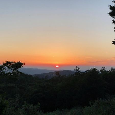 فيلا Badia A Passiganoفي Poggio Al Sole المظهر الخارجي الصورة